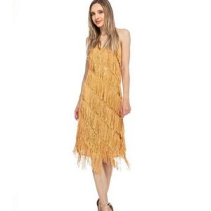 Sequin Fringe Flapper Midi Dress Costume or Daily wear